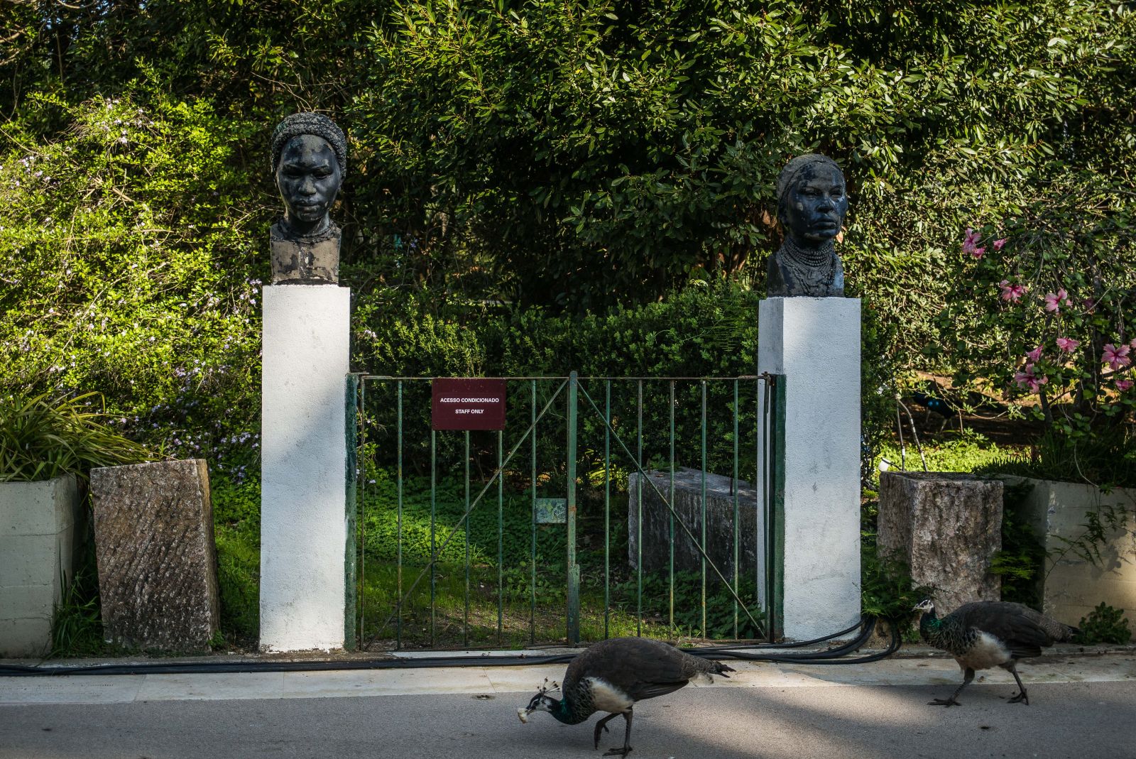 Tropischer botanischer Garten